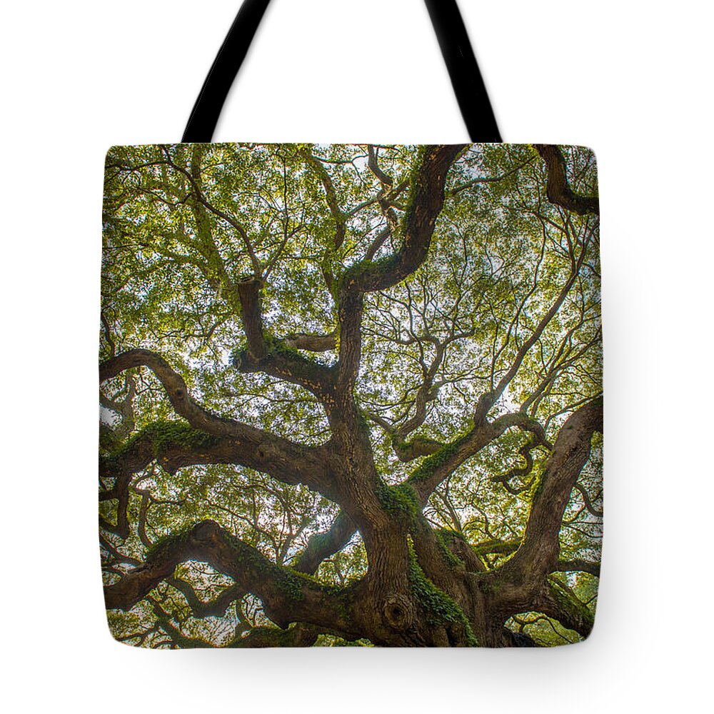 Angel Oak Tree Tote Bag featuring the photograph Island Angel Oak Tree by Dale Powell