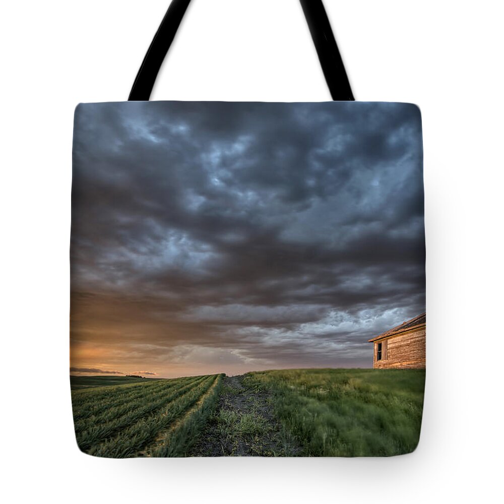 Prairie Tote Bag featuring the photograph Newly planted crop #8 by Mark Duffy
