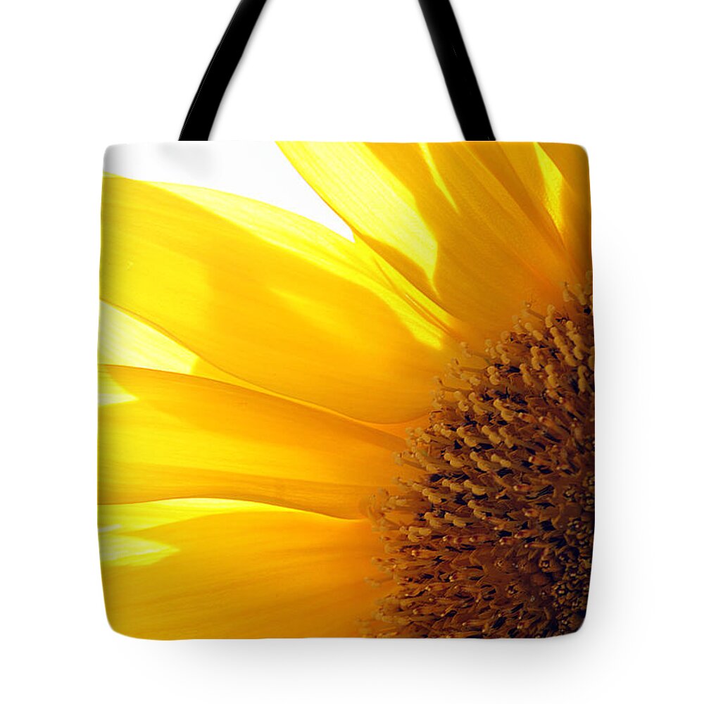 Sunflower Tote Bag featuring the photograph Sunflower by Cindi Ressler