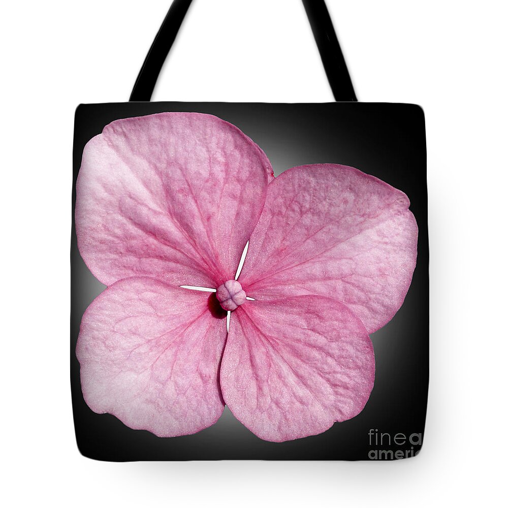  Flowers Tote Bag featuring the photograph Flowers #3 by Tony Cordoza