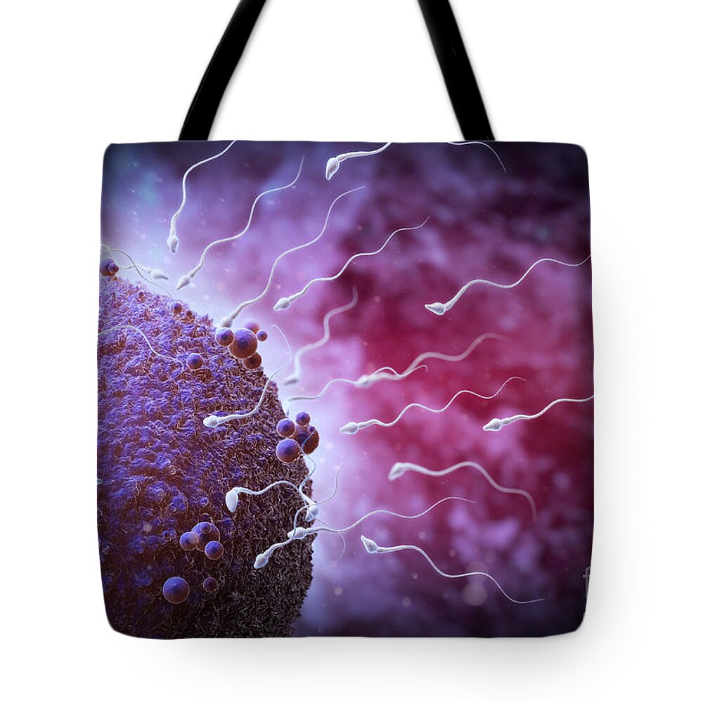 Fertility Tote Bag featuring the photograph Sperm And Ovum #9 by Science Picture Co
