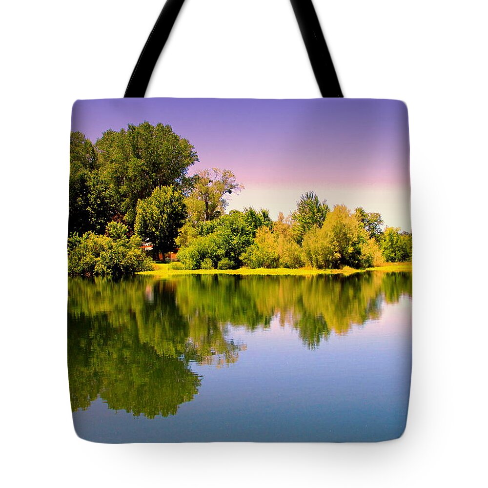 Reflection Tote Bag featuring the photograph A Beautiful Day Reflected by Joyce Dickens