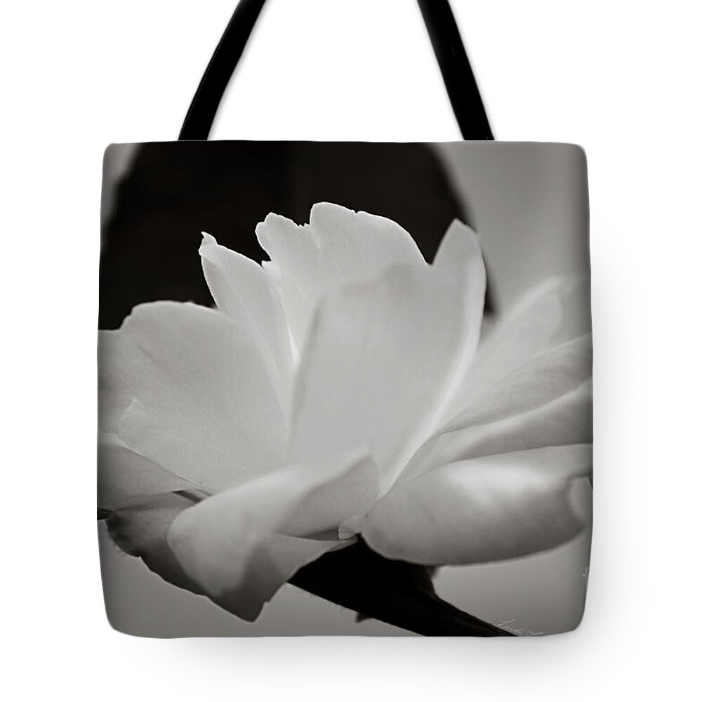 Flower Tote Bag featuring the photograph A Belief in Tomorrow by Linda Lees