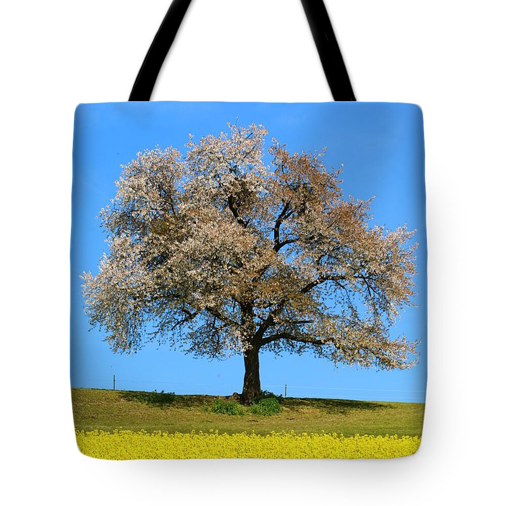  Agriculture Tote Bag featuring the photograph A blooming lone Tree in Spring with canolas in front by Amanda Mohler