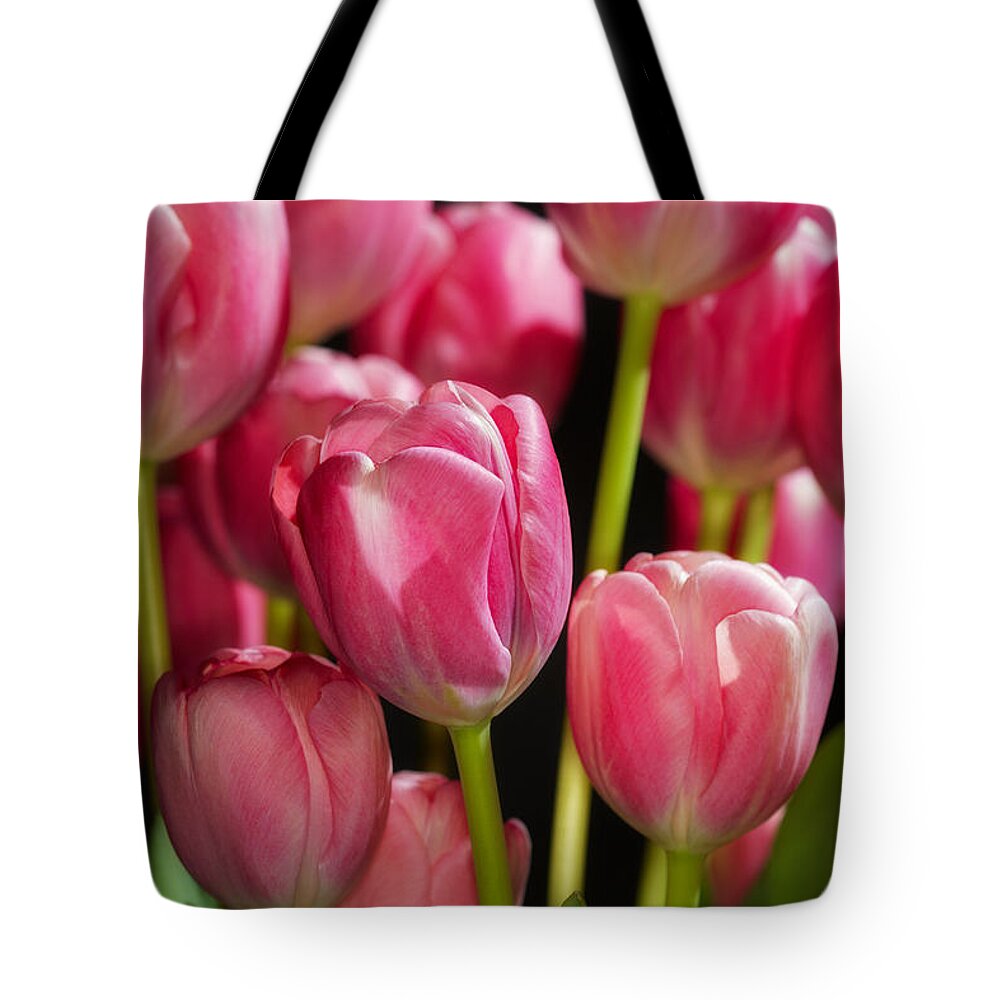 Close-up Tote Bag featuring the photograph A bouquet of pink tulips by Nick Biemans