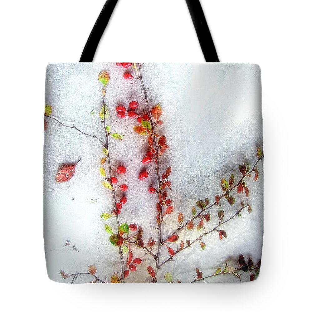 Berberis Vulgaris Tote Bag featuring the photograph A Branch of Colorful Barberries by Louise Kumpf