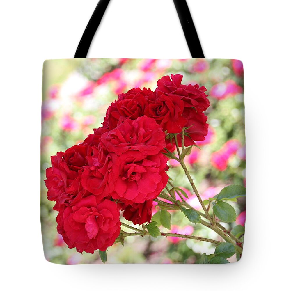 Petal Tote Bag featuring the photograph A Bunch Of Roses by Amanda Mohler