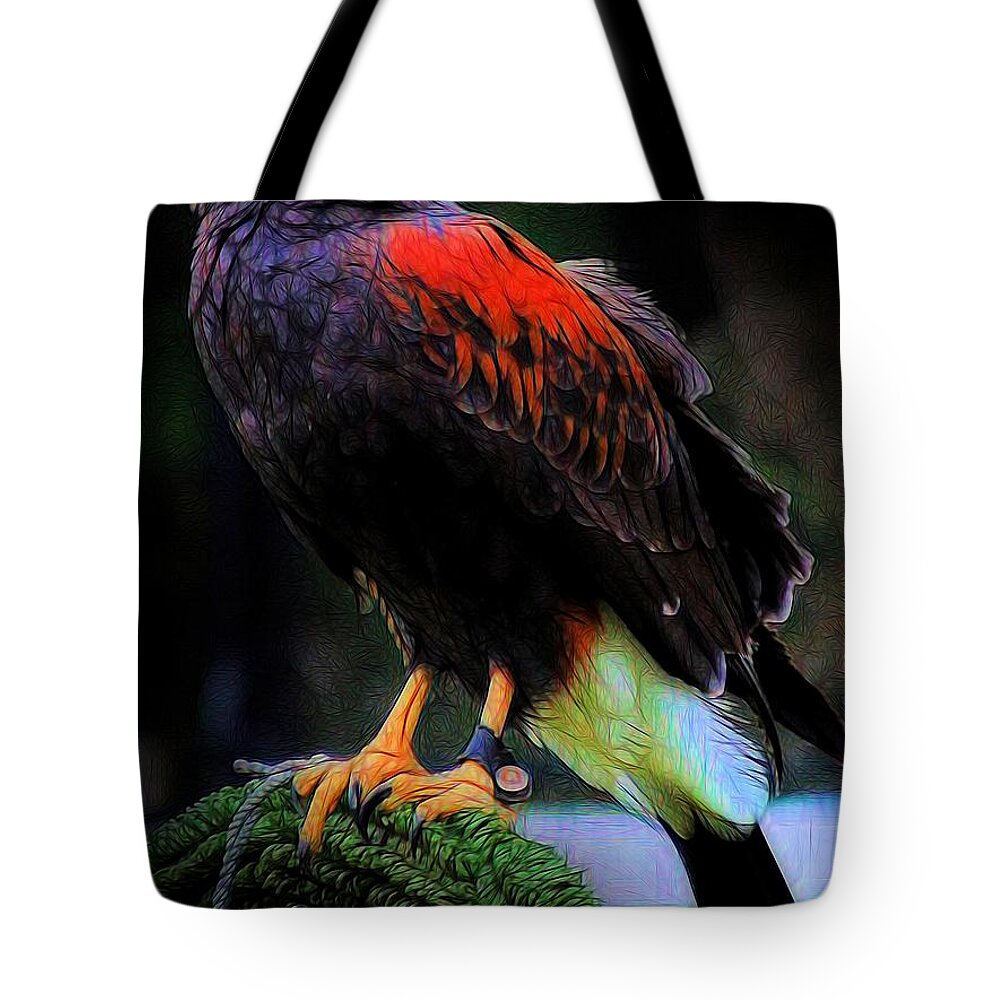Hawk Tote Bag featuring the painting A Captured Hawk by Jon Volden