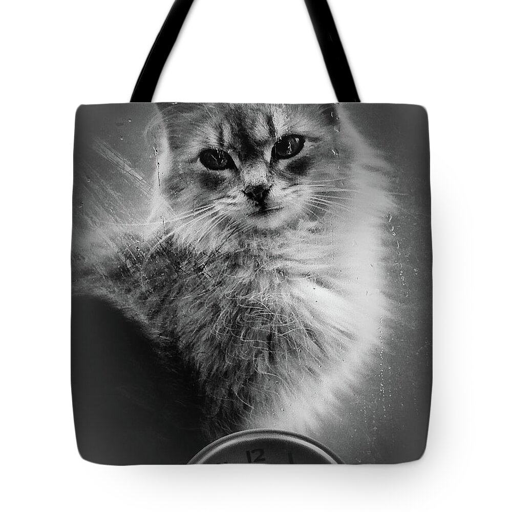 Arne J Hansen Tote Bag featuring the photograph A Cat In The Window by Arne Hansen