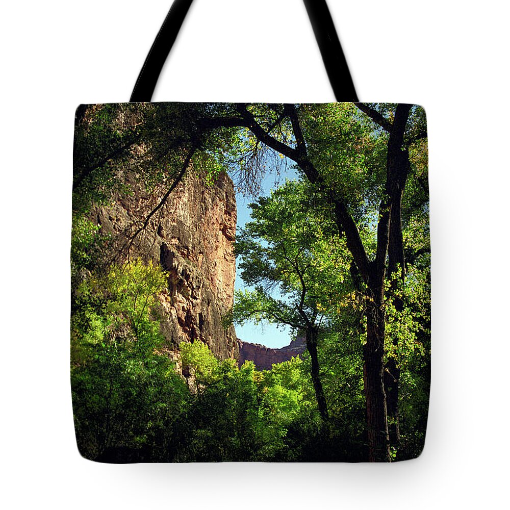 Havasupai Tote Bag featuring the photograph A Cool Path by Kathy McClure
