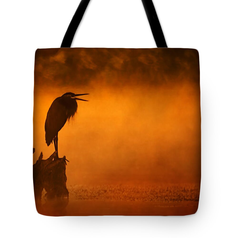 2007 Tote Bag featuring the photograph A Cry in the Mist by Robert Charity