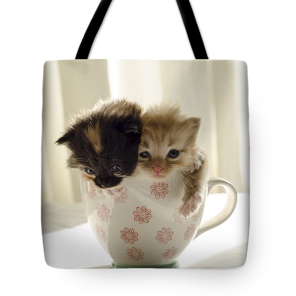 Cute Tote Bag featuring the photograph A cup of cuteness by Spikey Mouse Photography