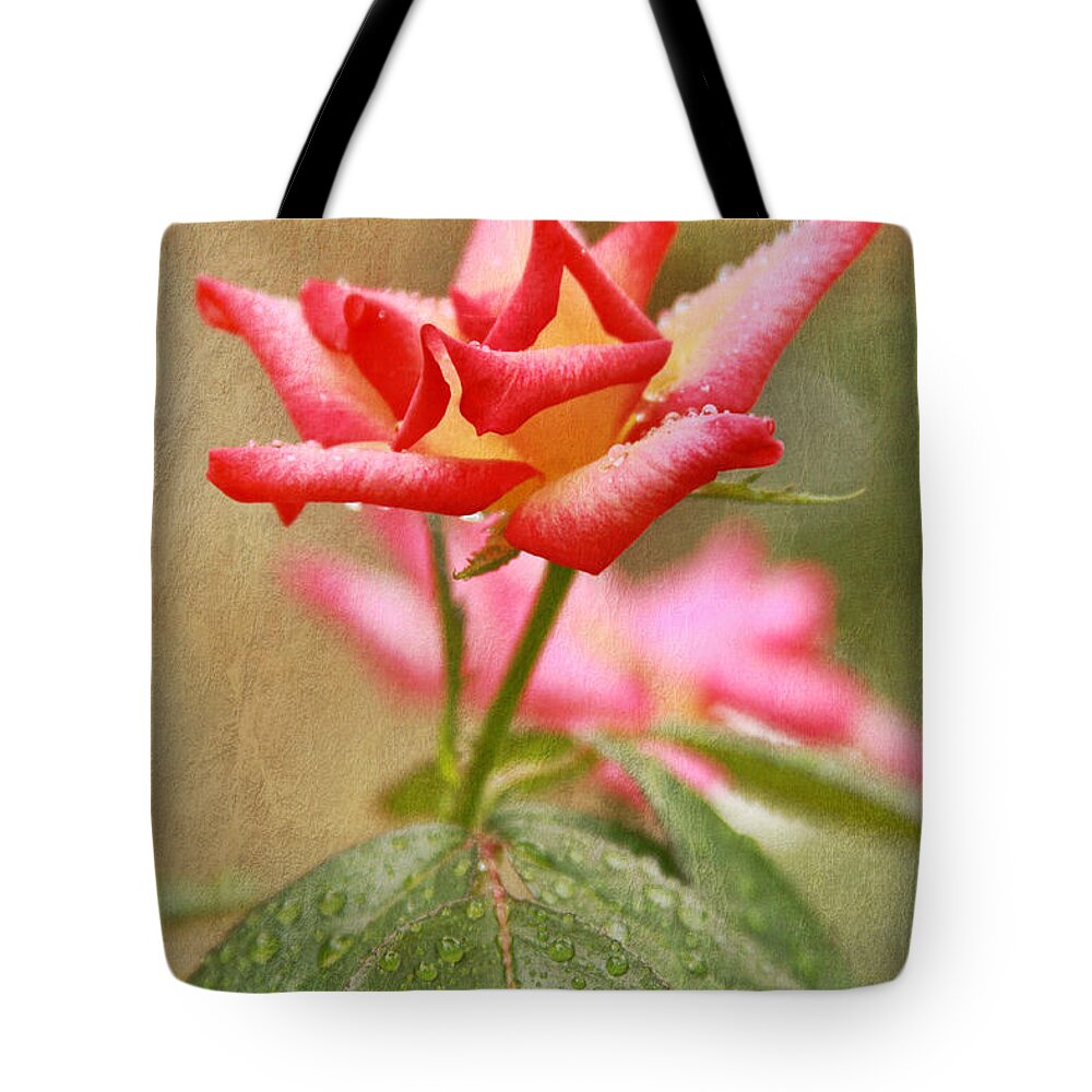 Rose Tote Bag featuring the photograph A Cut Above by Joan Bertucci
