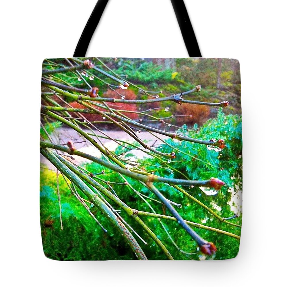 Delicate Tote Bag featuring the photograph A Delicate Balance by Anna Porter