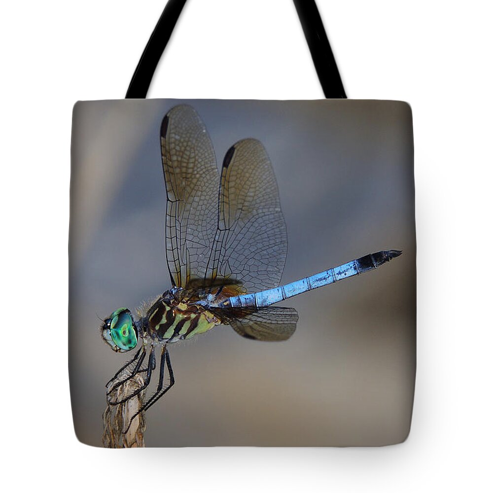 Dragonfly Tote Bag featuring the photograph A Dragonfly IV by Raymond Salani III