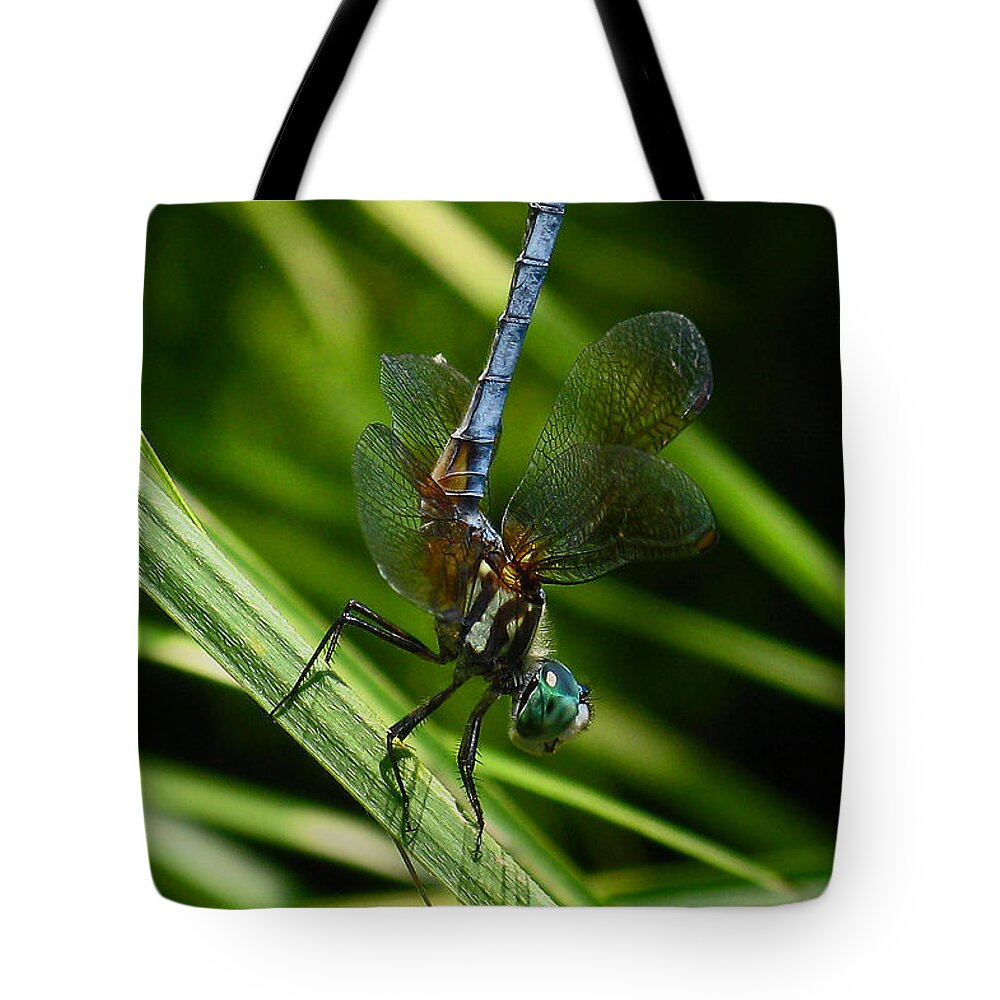 A Dragonfly Tote Bag featuring the photograph A Dragonfly by Raymond Salani III