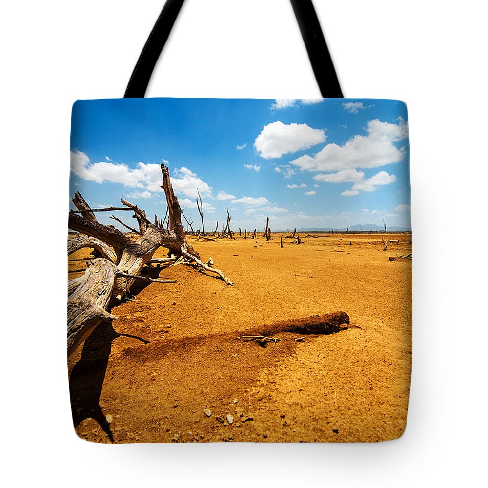 Desert Tote Bag featuring the photograph A Fallen Tree in a Desert by Jess Kraft
