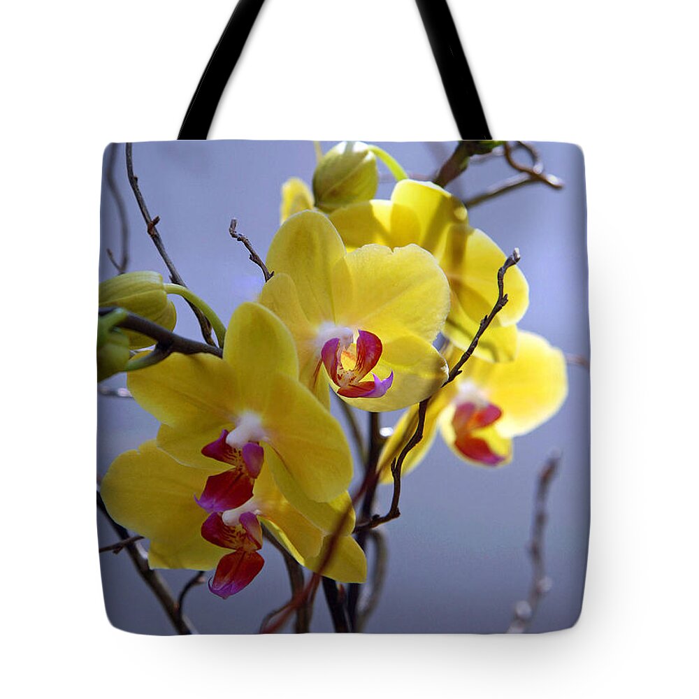 Yellow Tote Bag featuring the photograph A Family Of Orchids by Cora Wandel