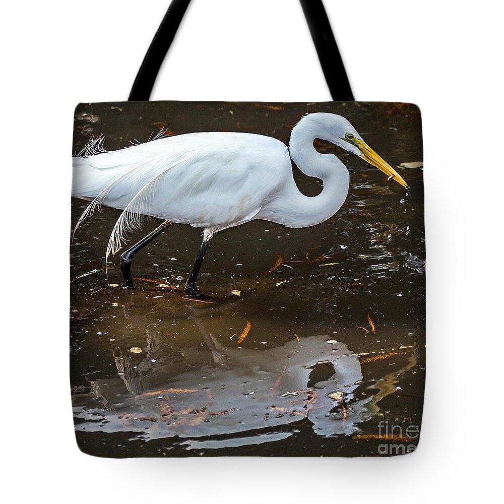 Ardea Alba Tote Bag featuring the photograph A Fine Catch by Kate Brown