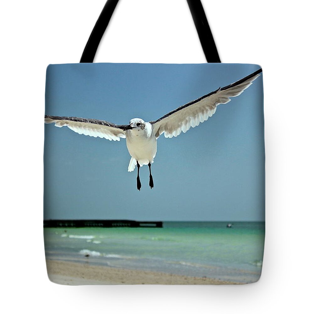 Seagull Tote Bag featuring the photograph A Florida Gull by Amazing Jules