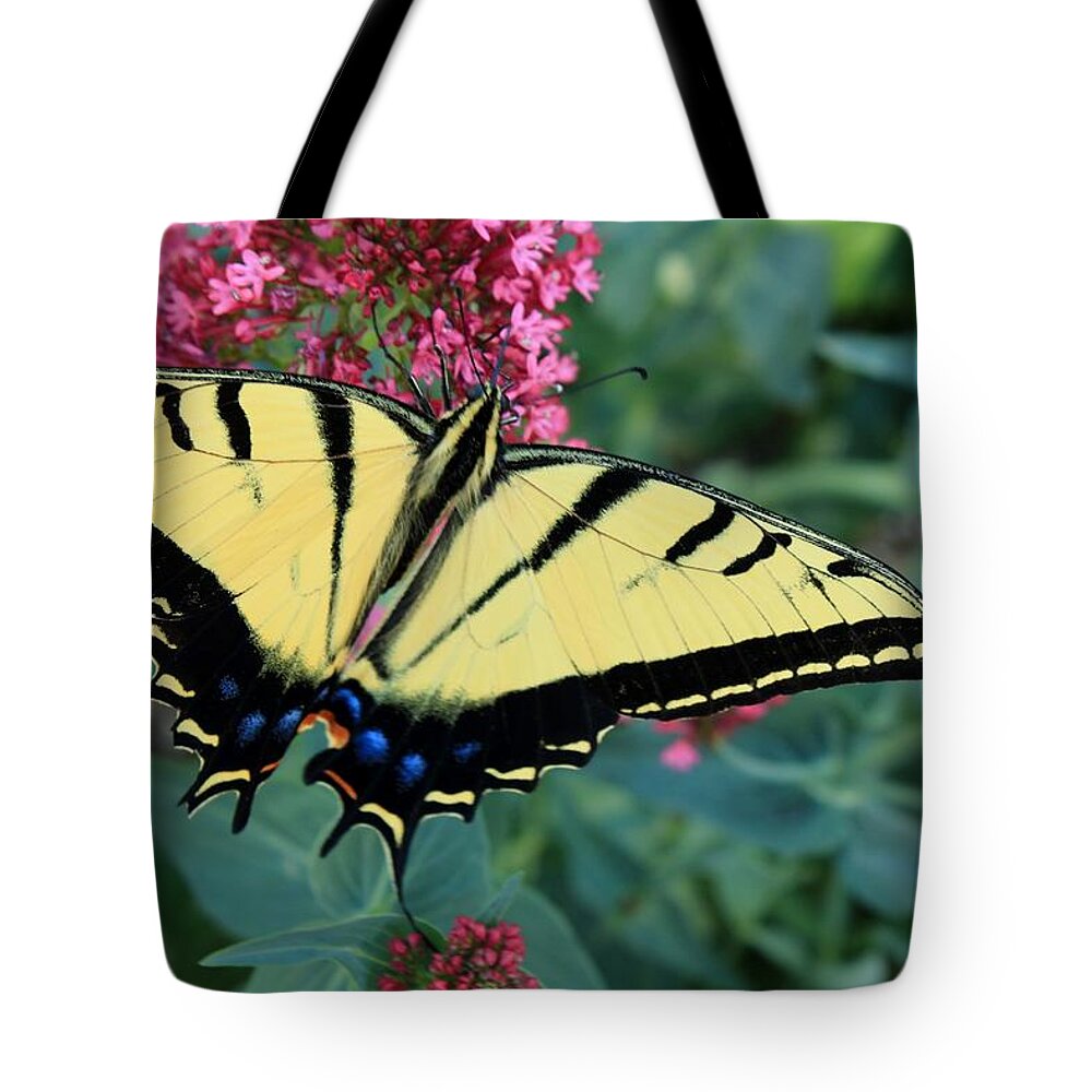 A Tote Bag featuring the photograph A Garden Gift by Elizabeth Sullivan
