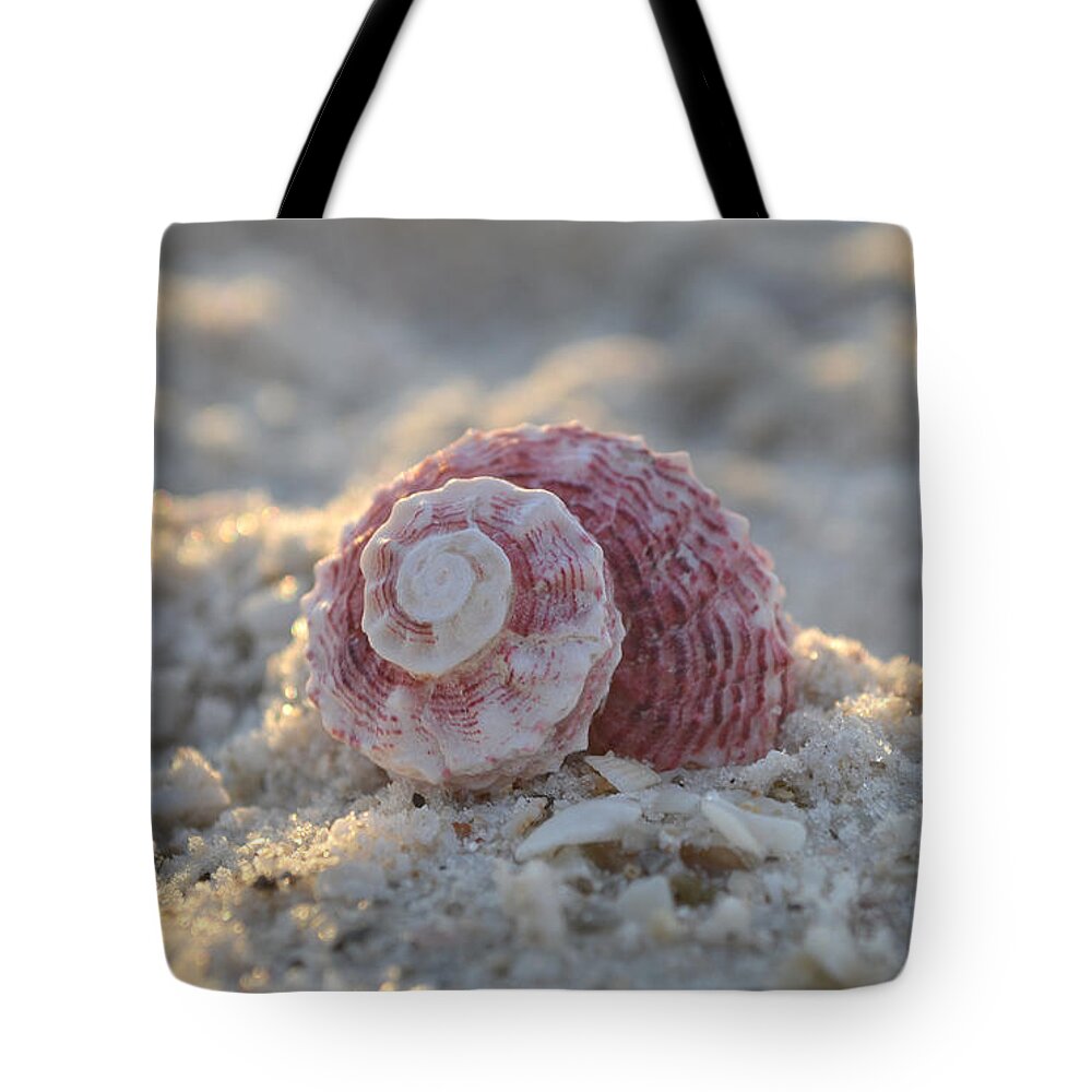 Seashell Tote Bag featuring the photograph A Gentle Strength by Melanie Moraga