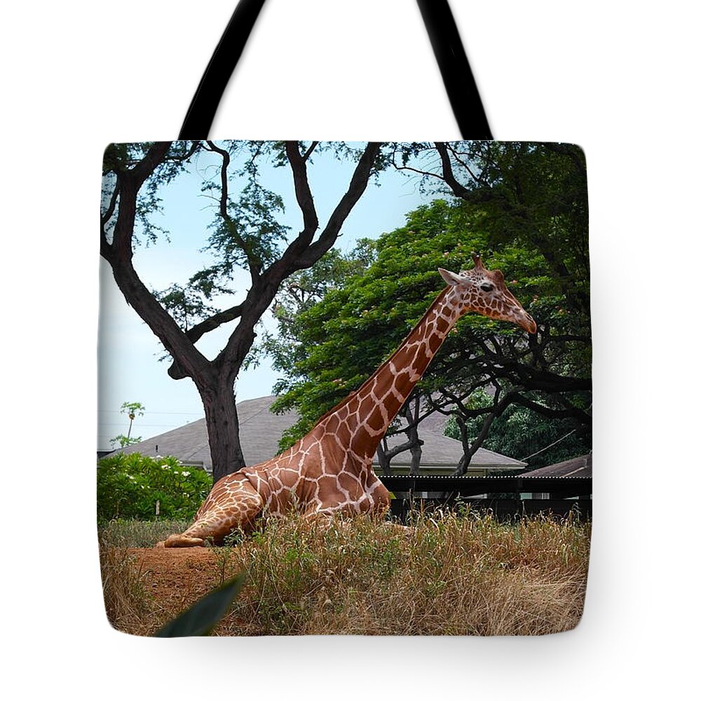 Giraffe Tote Bag featuring the photograph A Giraffe Rests in Honolulu by Michele Myers