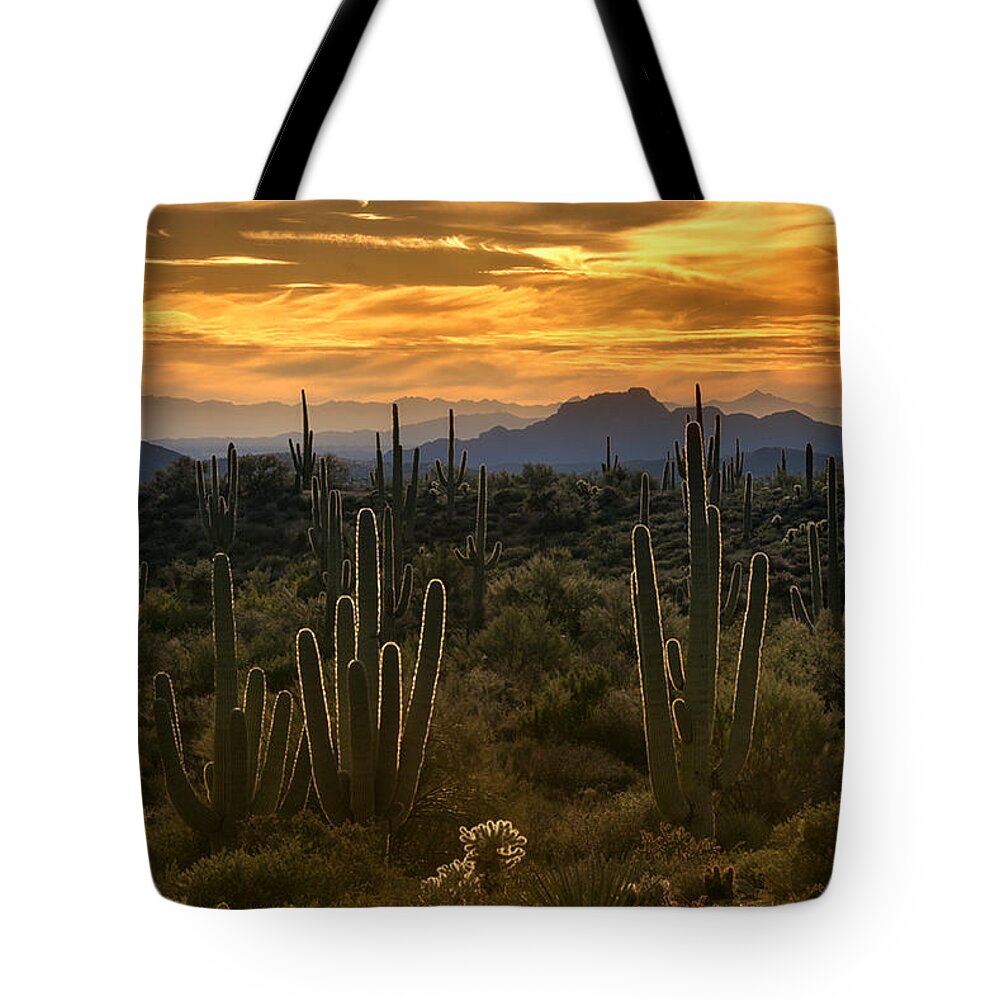 Saguaro Sunset Tote Bag featuring the photograph A Golden Sonoran Sunset by Saija Lehtonen
