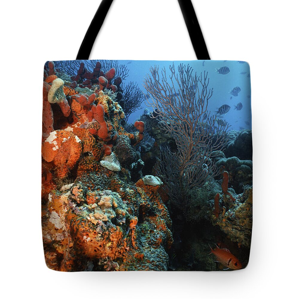 Angle Tote Bag featuring the photograph A Good Day by Sandra Edwards