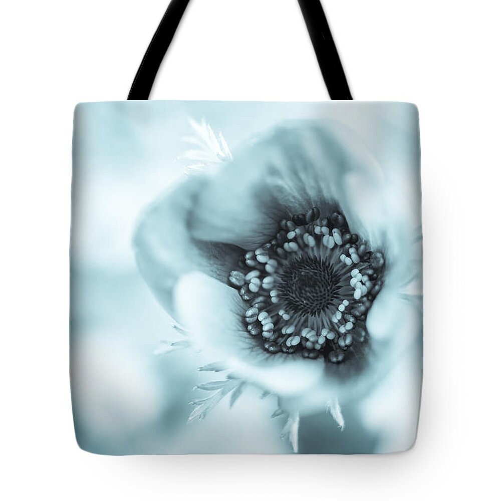 Anemone Tote Bag featuring the photograph A Little Bit Blue by Caitlyn Grasso