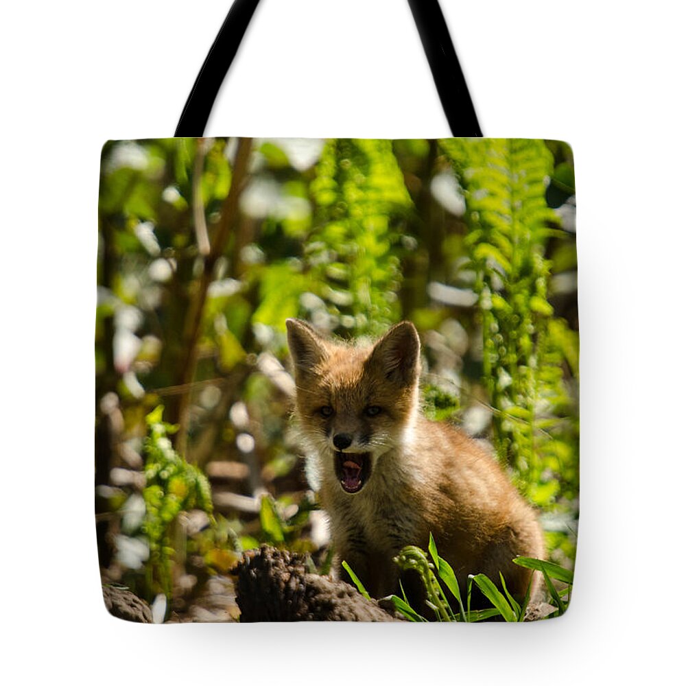Fox Tote Bag featuring the pyrography A little tired by Gary Wightman
