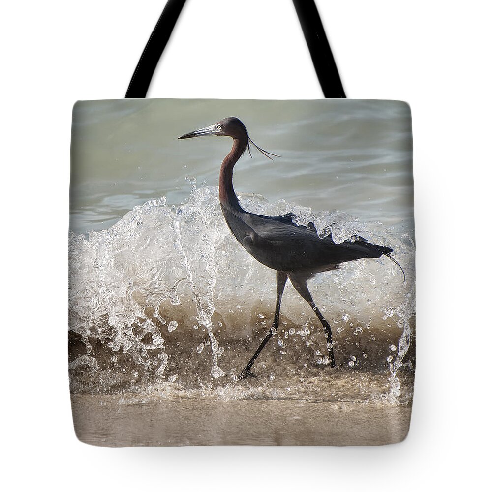 Jamaica Tote Bag featuring the photograph A Morning Stroll Interrupted by Gary Slawsky