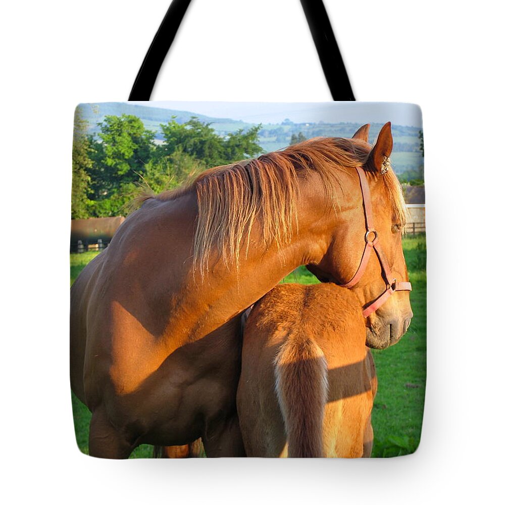 Irish Horses Tote Bag featuring the photograph A Mother's Love by Suzanne Oesterling
