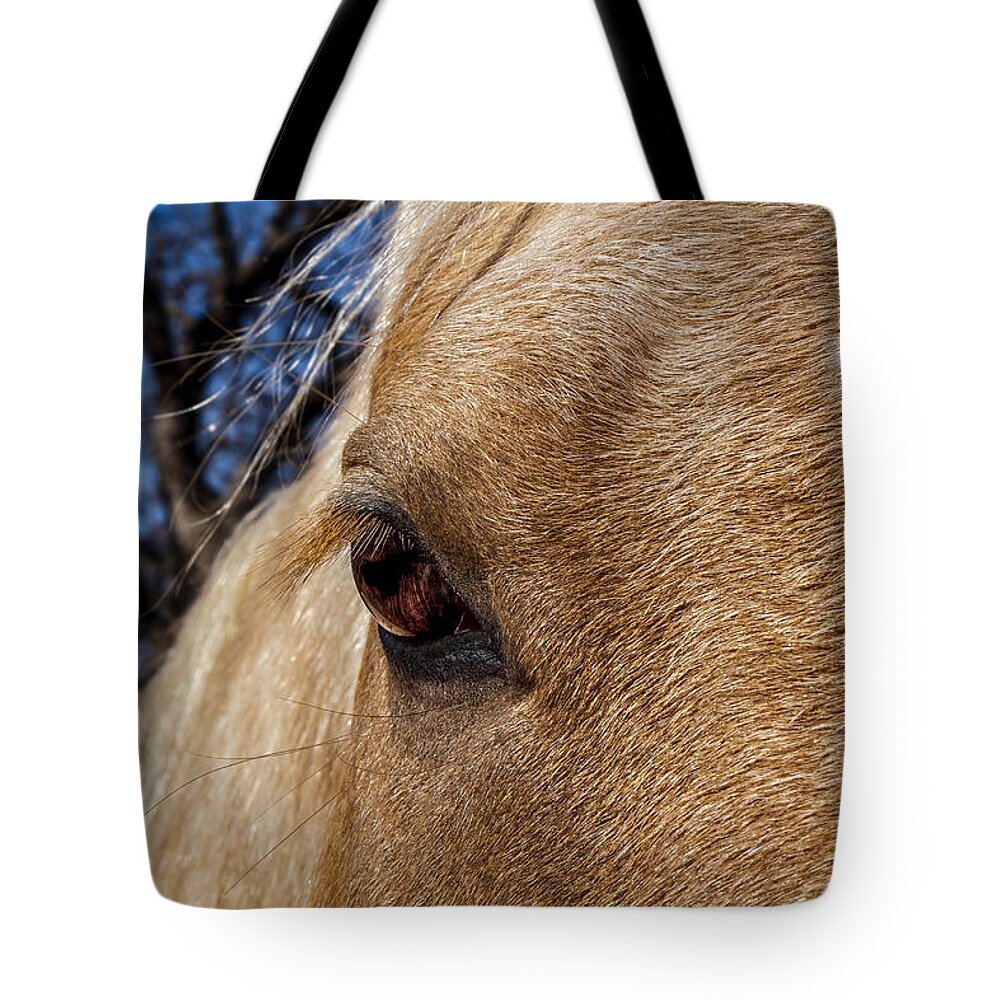 Afternoon Tote Bag featuring the photograph A Palomino's Eye. by Doug Long