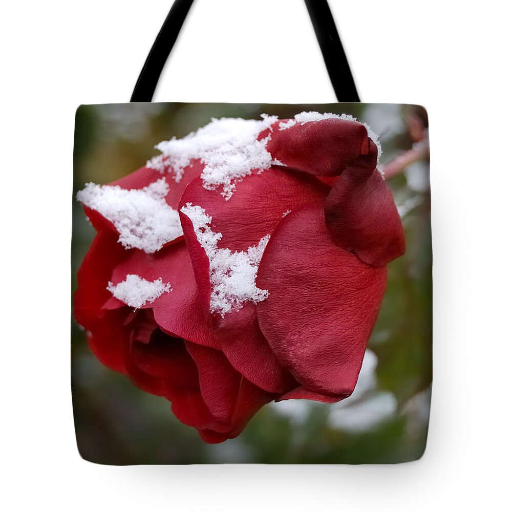 Roses Tote Bag featuring the photograph A Passing Unrequited - Rose In Winter by Steven Milner