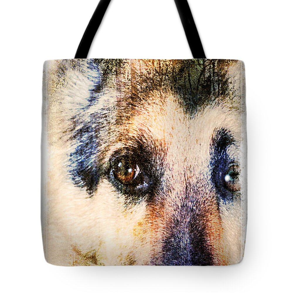 German Shepherd Tote Bag featuring the photograph A Penetrating Gaze by Eleanor Abramson