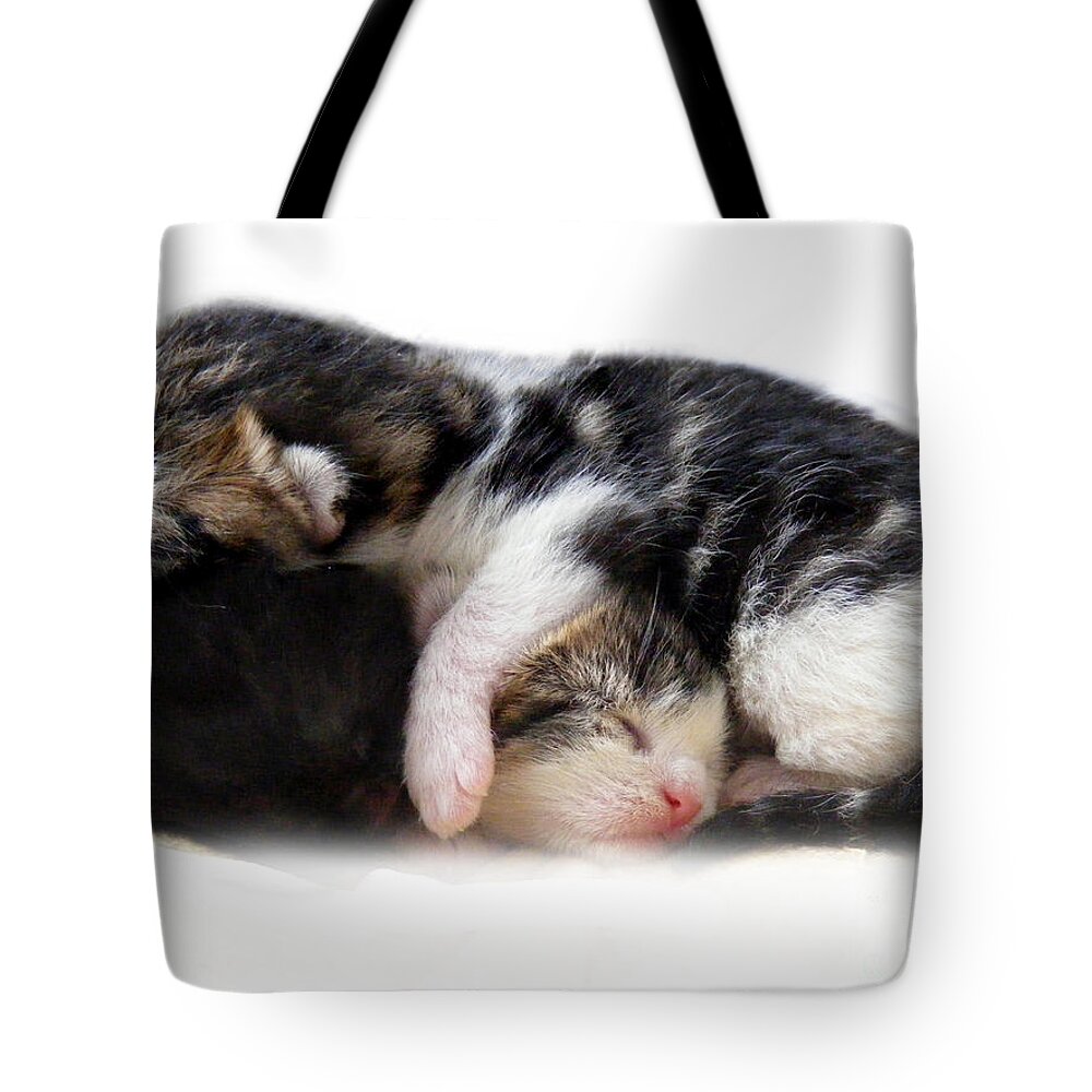 Cat Tote Bag featuring the photograph A pile of Pussies by Linsey Williams