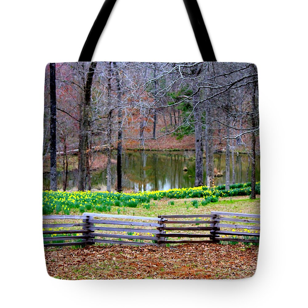 Yellow Daffodils Tote Bag featuring the photograph A Place of Peace Among the Daffodils by Kathy White