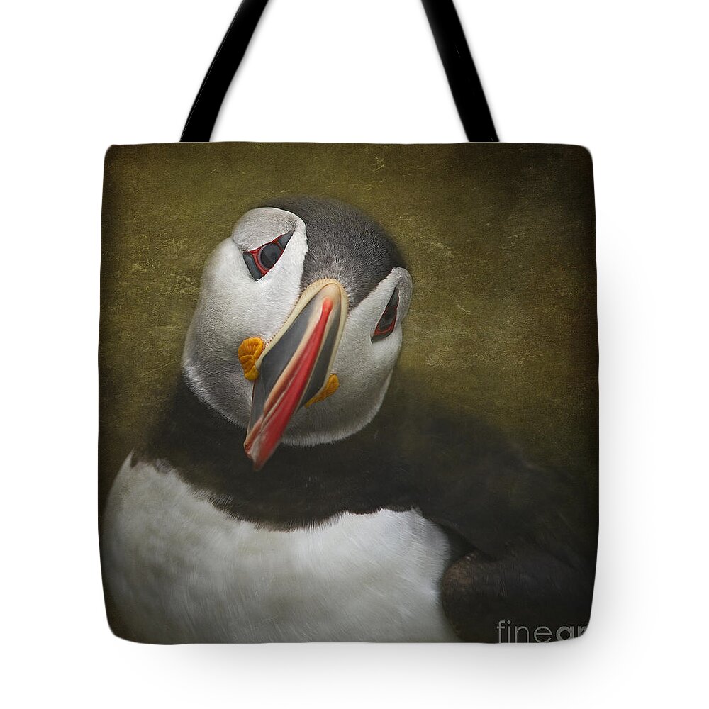 Festblues Tote Bag featuring the photograph A Portrait of the Clown of the Sea by Nina Stavlund