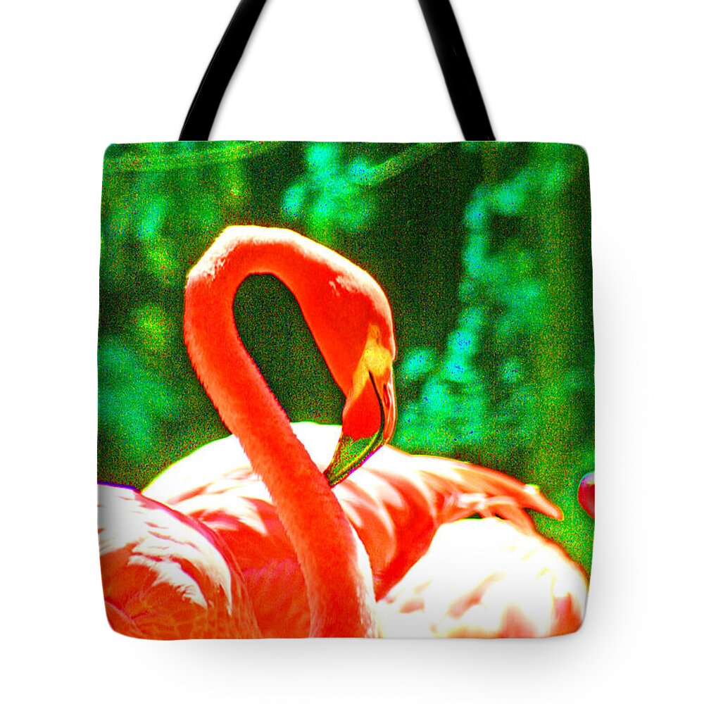 Flamingo Tote Bag featuring the photograph A Proud Flamingo by Joseph Coulombe