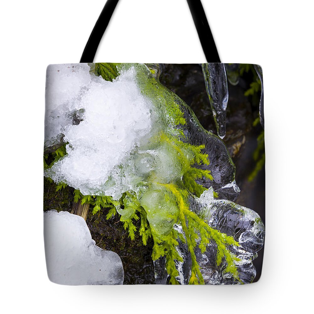 Hurricane Ridge Tote Bag featuring the photograph A quick freeze by Joe Doherty