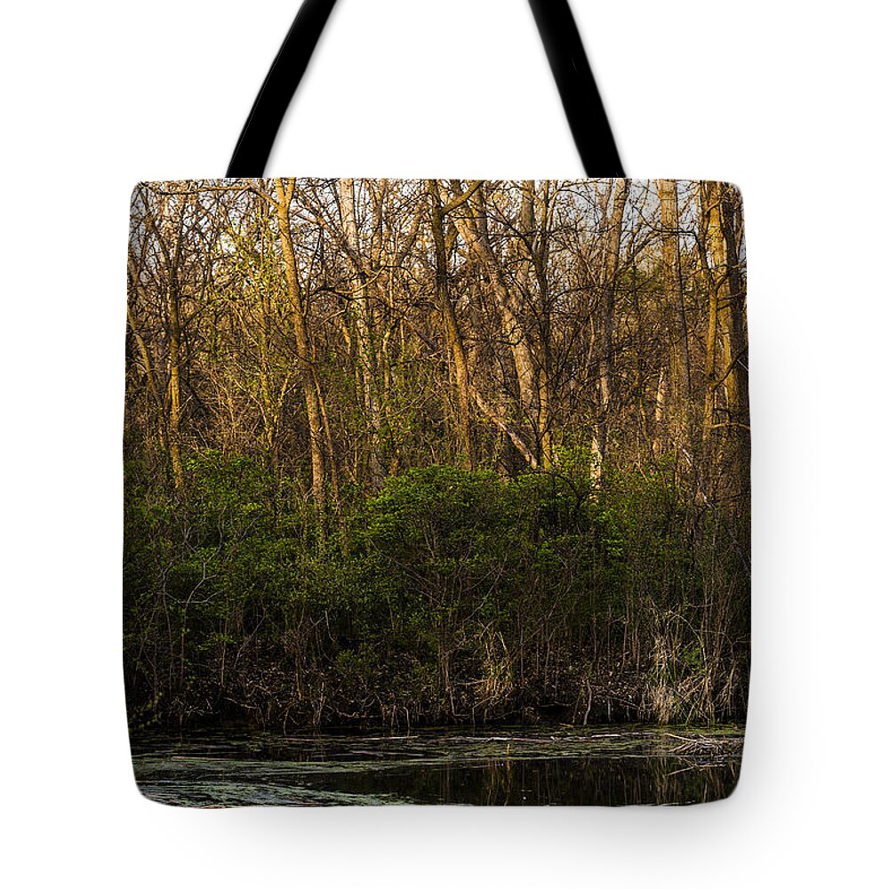 Spring Tote Bag featuring the photograph A Quiet Corner by Ed Peterson