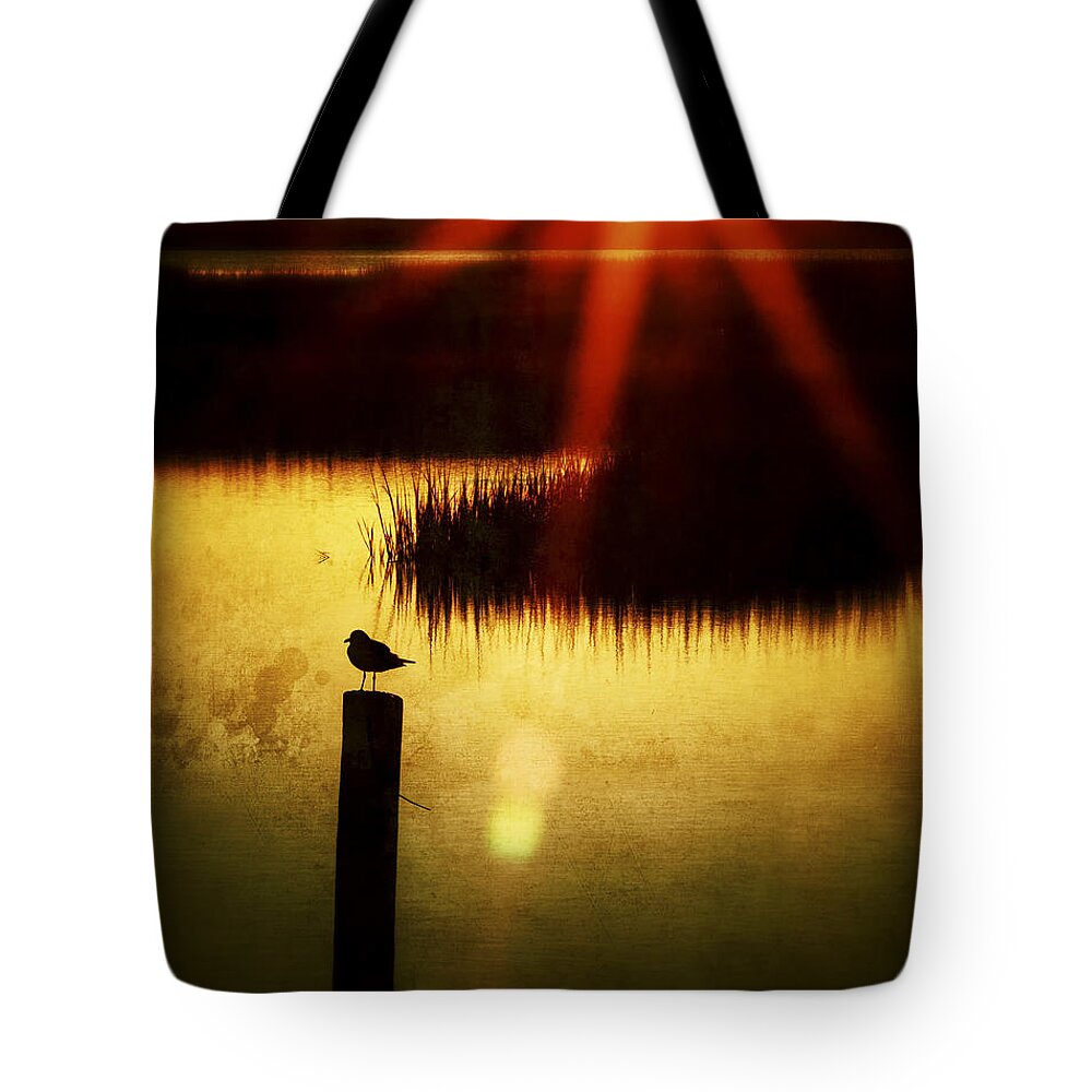 Blue Tote Bag featuring the photograph A Ray Of Hope Sunrise Sunset Image Art by Jo Ann Tomaselli