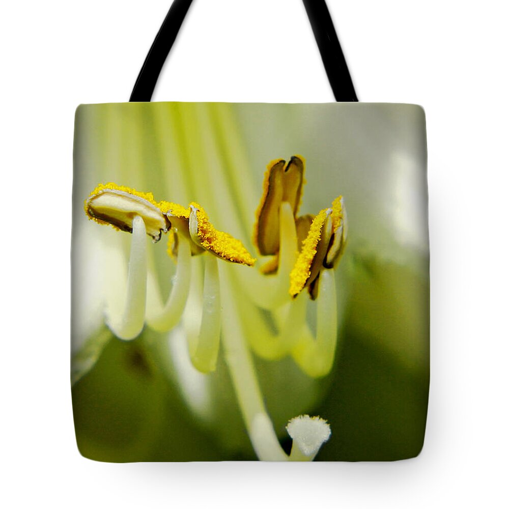 Hosta Tote Bag featuring the photograph A Single Flower in Full Bloom by Carol F Austin