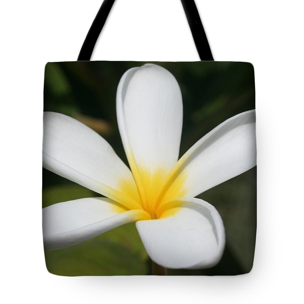 Blossom Tote Bag featuring the photograph A Single Plumeria Flower Macro by Taiche Acrylic Art