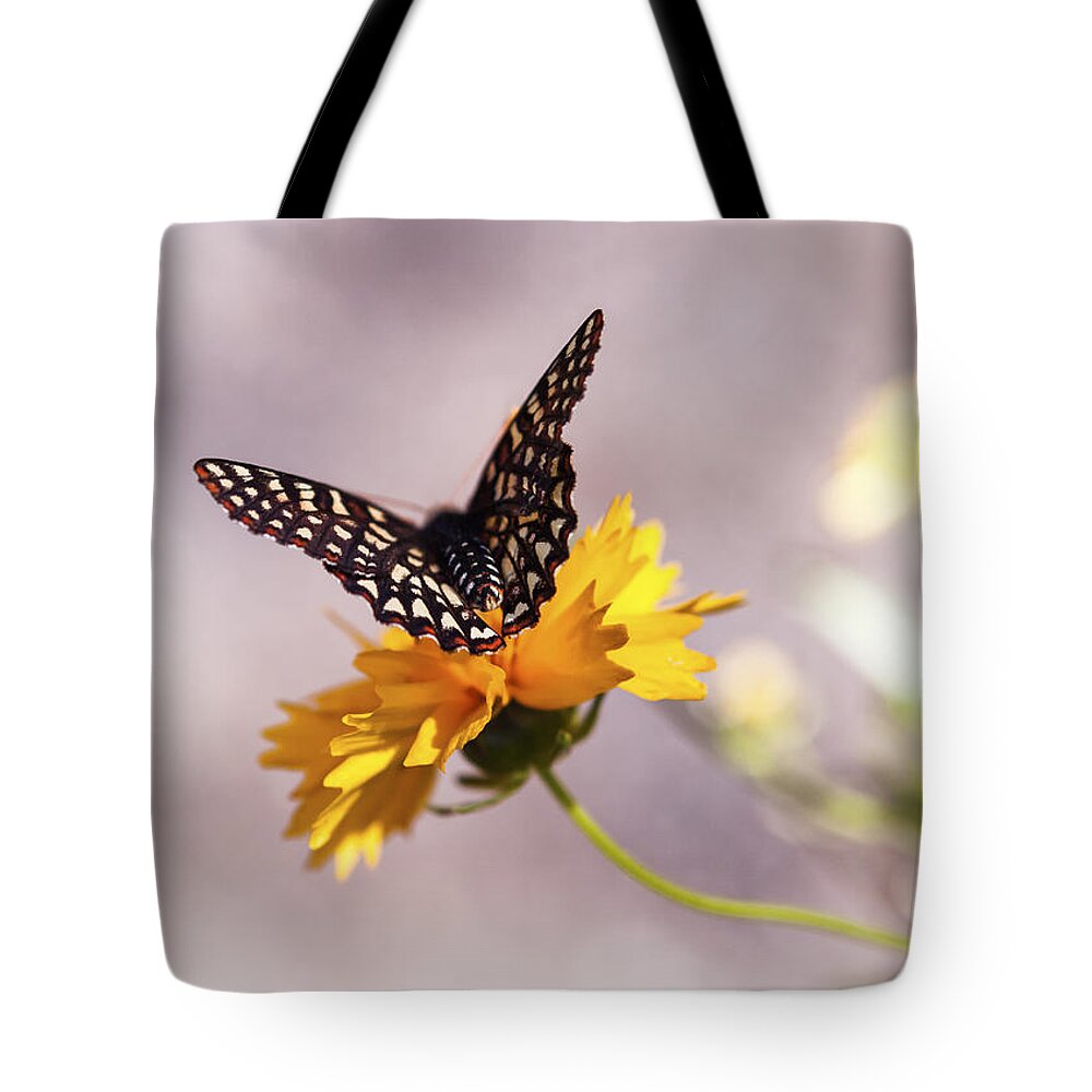 Butterfly Tote Bag featuring the photograph A Sip of Coreopsis by Caitlyn Grasso