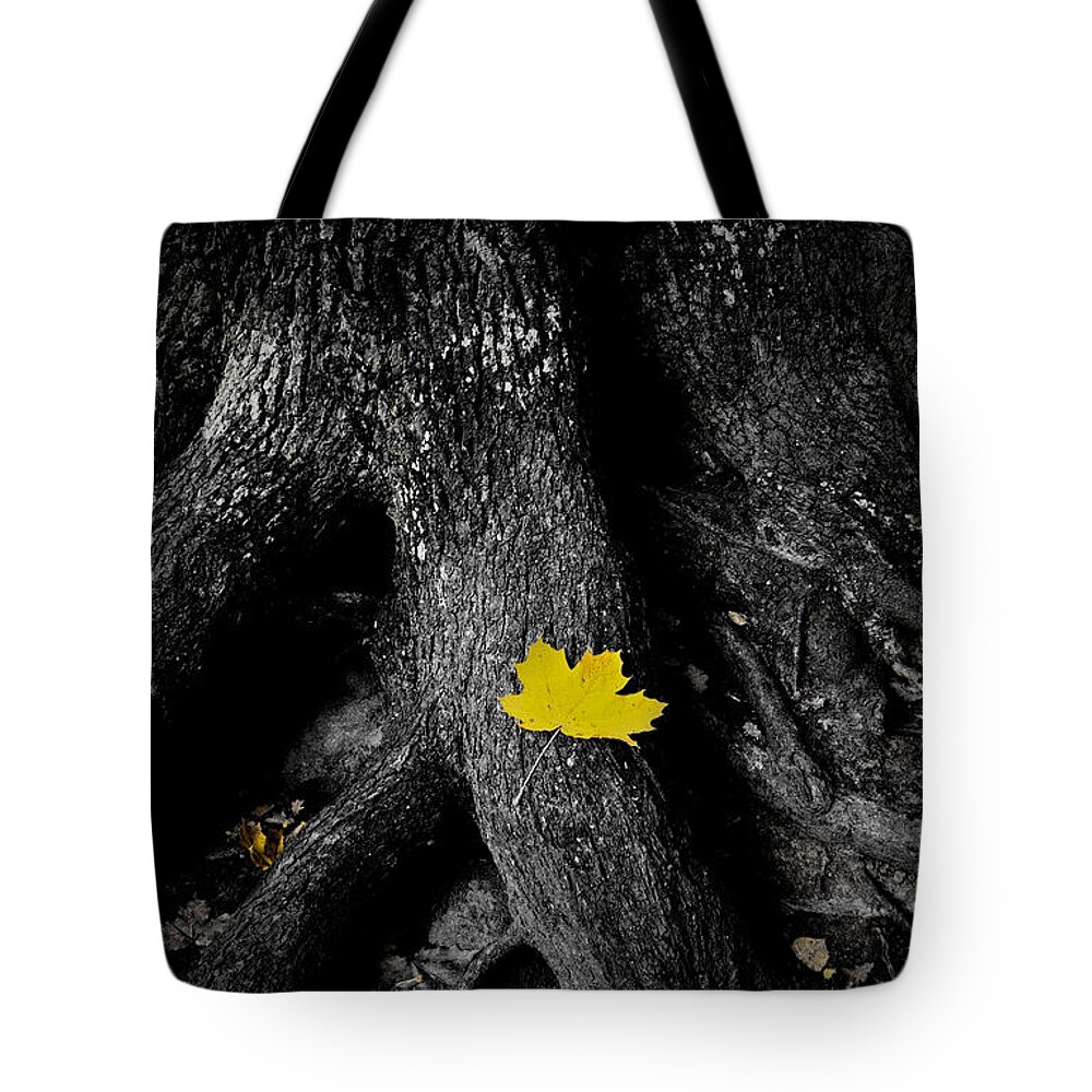 Woods Tote Bag featuring the photograph A spark of color by Nicklas Gustafsson