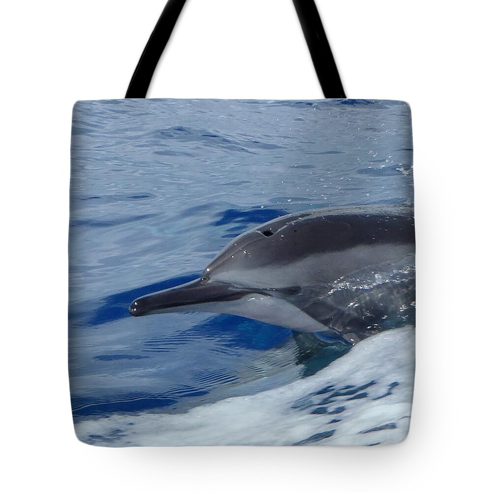 Dolphin Tote Bag featuring the photograph A Spinner's Smile by Suzette Kallen