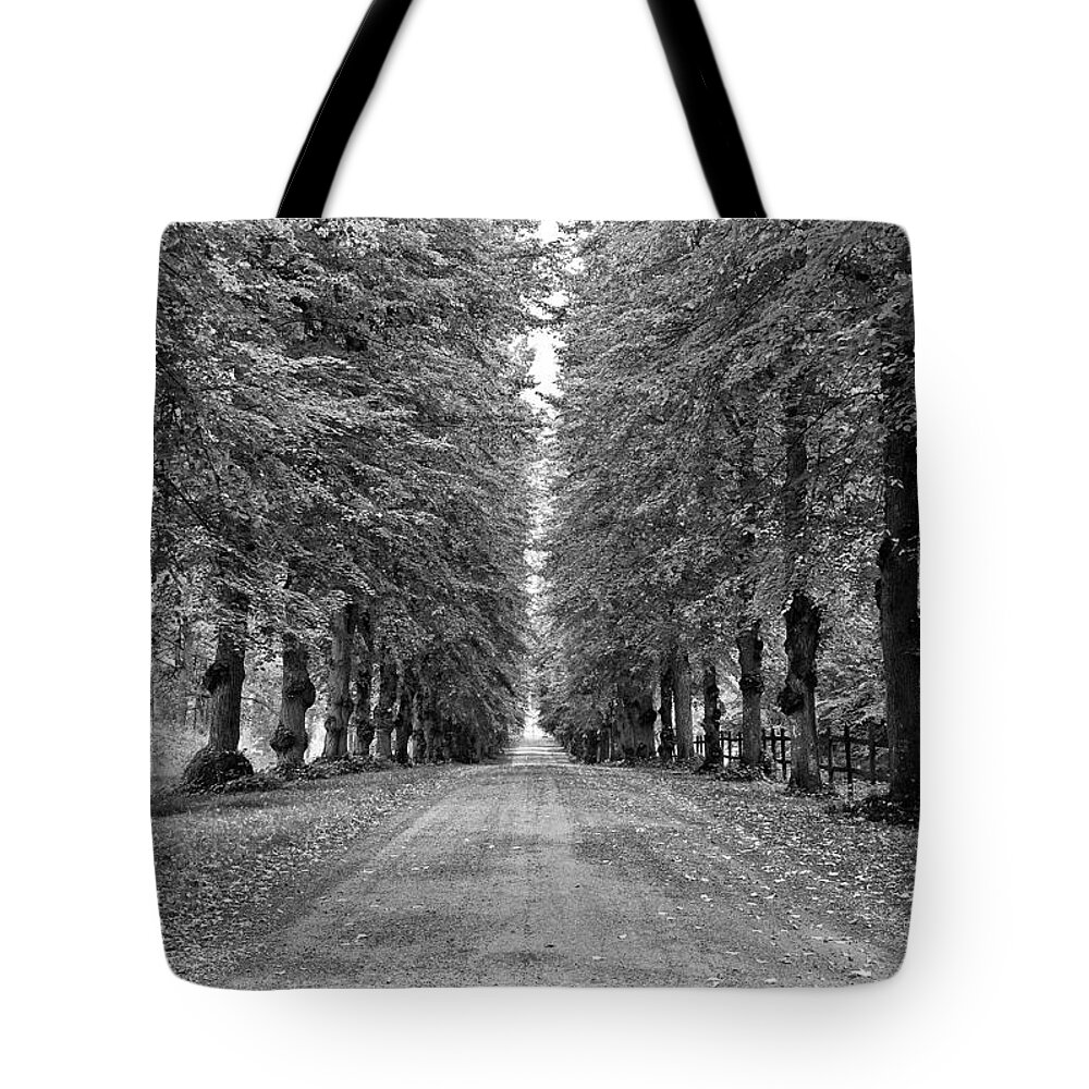 Sweden Tote Bag featuring the photograph A Straightforward Path by Nancy De Flon