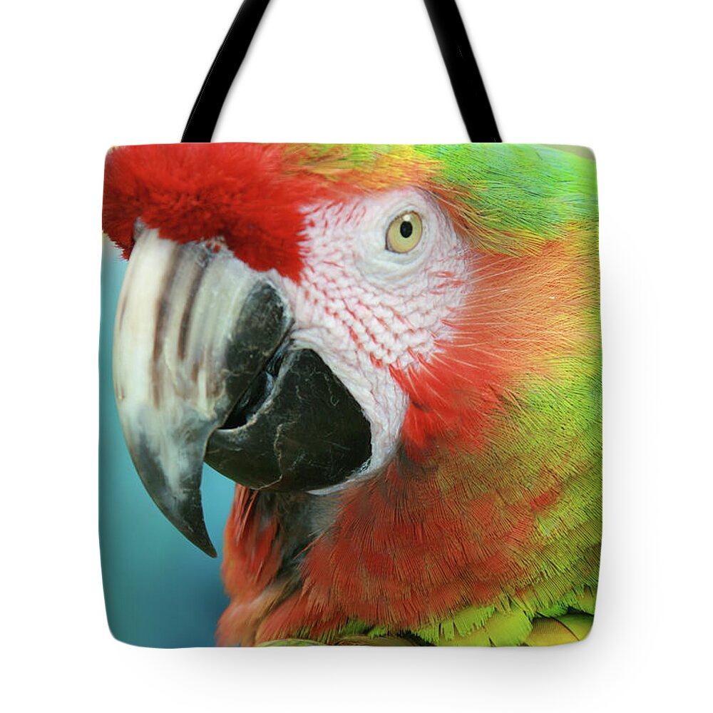 Aloha Tote Bag featuring the photograph A Thing of Beauty is a Joy Forever by Sharon Mau